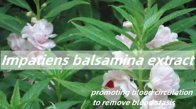 Impatiens Balsamina Extract.png